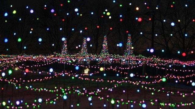 道の駅ウィンターナイトガーデン